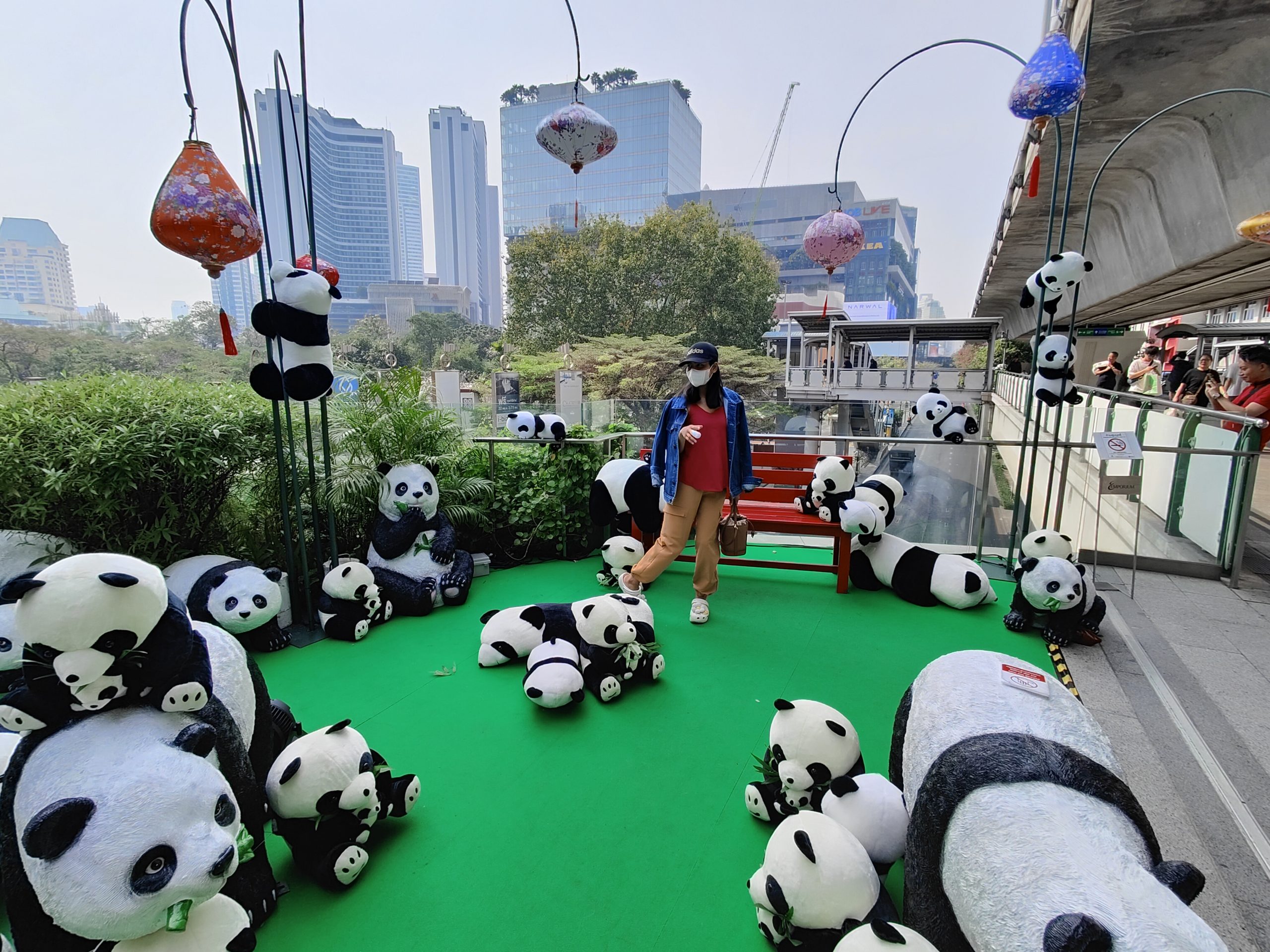 Pandas on the Bangkok skytrain
